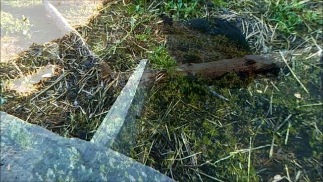 Вигвамы для молодняка птицы.mp4