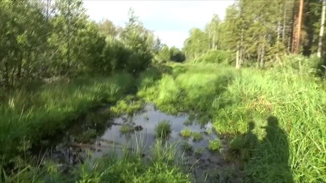 Озеро Шутово. 3 из 4 - ГУГК 3128 древесный остров.