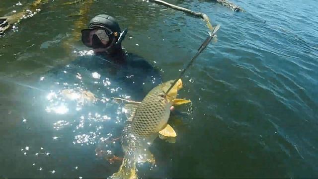 7301d2c852466651c40490c76aef0c9c