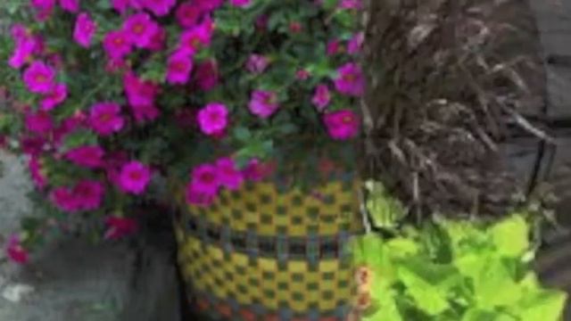 94809b40981353eb35d139838d753692