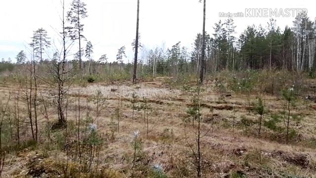 VlOG пасхальный??? .Шок !!!Кролик спрятал -мы нашли ?!!!?