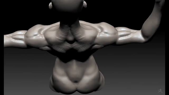 Female Anatomy Flex Sketch - Zbrush