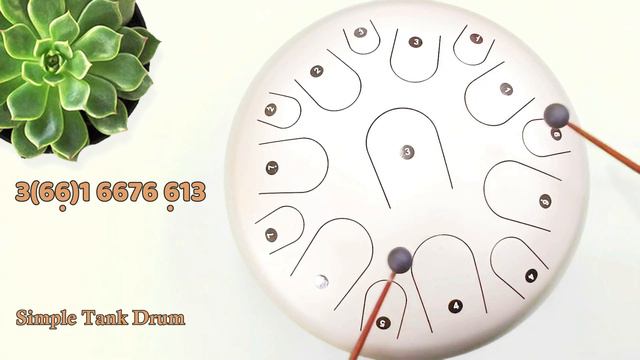Unstoppable (Sia) - Steel Tongue Drum / Tank Drum Cover With Tabs
