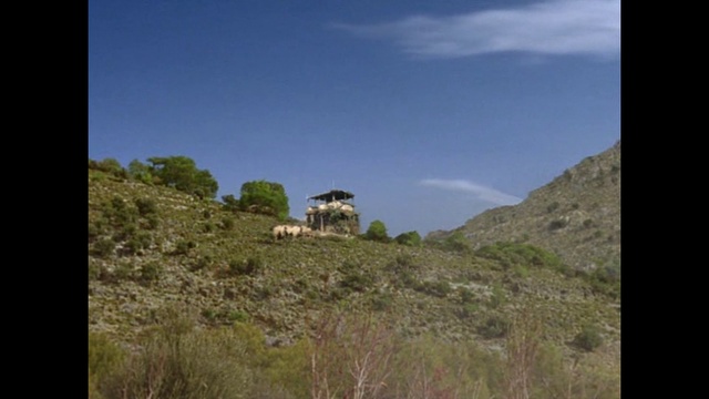 0addf12ccd19dd12ac5900f3d0a93aec