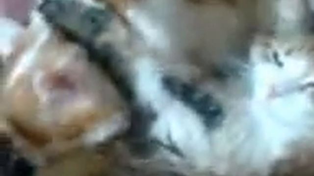 01bcaec351a45b841a8ef6a6bca7add5