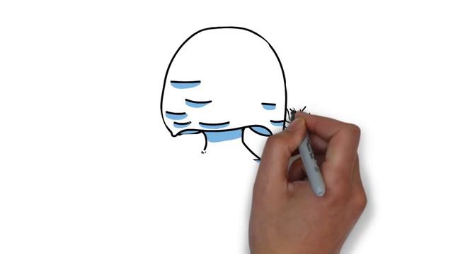 Coral Bleaching Explained: The Story Of Frank The Coral