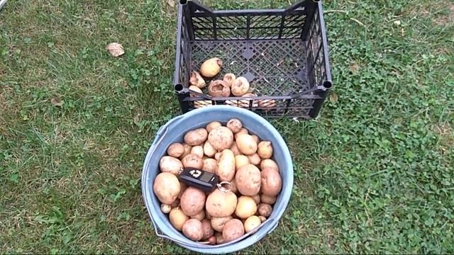 007 Урожай картофеля #2018#часть 1