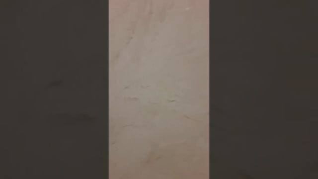 Виницианская  штукатурка в Астане