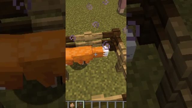 КАК СДЕЛАТЬ БЕССМЕРТНУЮ ЛИСУ В МАЙНКРАФТЕ!!!???#minecraft #shorts