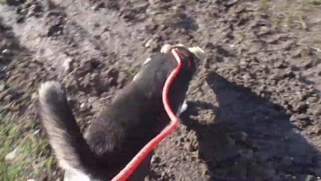 8db740f82f5f439e00cc68b1eba394ae