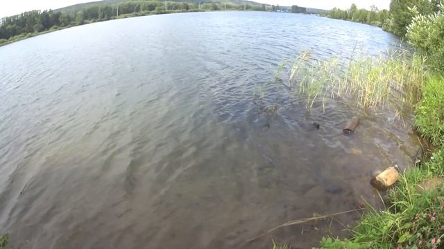 рыбалка на о. Красное. Тестирую спиннинги Фарио Морм. Fish Season FARIO NT 