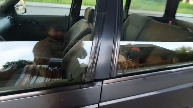 4bab6b7ab24ed52755b06cace4039872