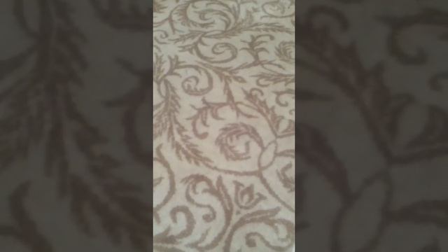 Что вы хотите дальше?