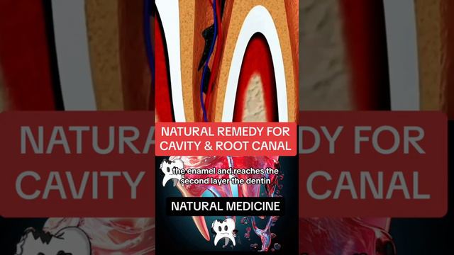 41852bc64bbc3926bef3b9e3b7d5bd94