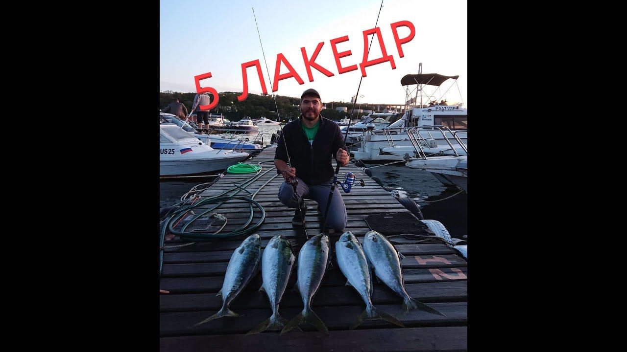 Лакедра рядом с городом! Владивосток!