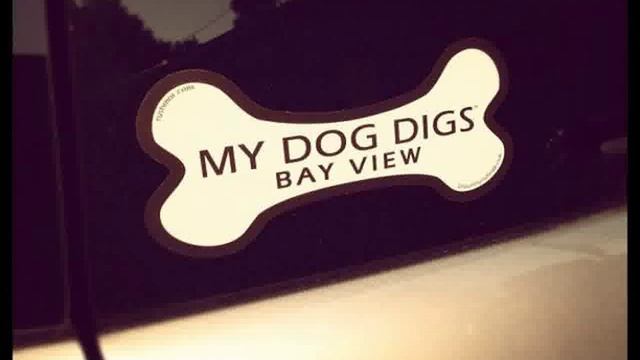 Honda Element Cars Show In Milan