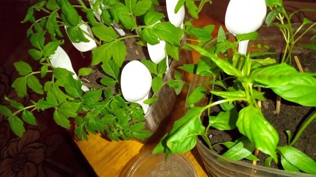 Знакомство!