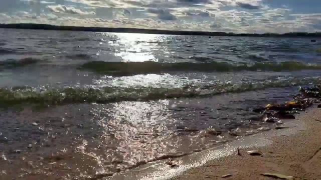 прекрасная природа Беларуси шум волн релаксация осень живое видео для сна и восстановления сил