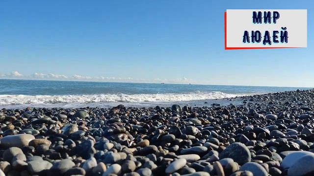 6a990dc80e9a99ca42f8f2a4ef7f3dd5