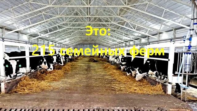 Ed5e4300257045a2e2dfa26168ded561