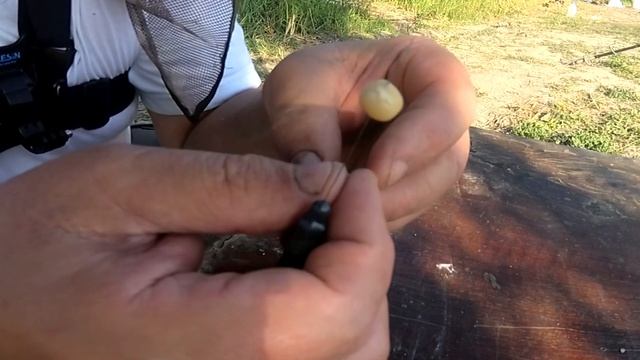 Ловля в Камышах