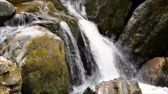 ASMR   GUIDED MEDITATION⛵️  TRAVEL DOWN STREAM 🦋 IN BOAT 🌈 MEDITATION/ RELAXATION BY CATHERINE WEI