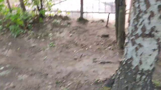 Тайное волшебство мудрости внутреннего духа