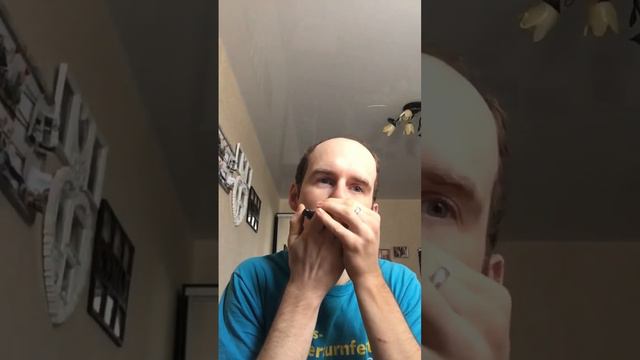 Песня Jingle Bells на губной гармошке + Табы [Cover By KAMNEFF 2023]