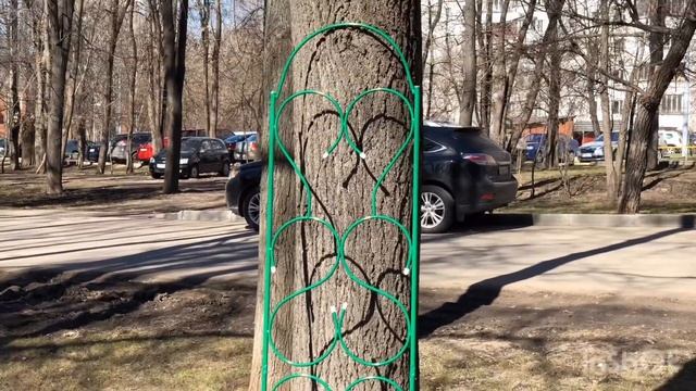 ШПАЛЕРА 