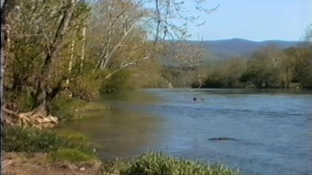 Ef4efa7848cd1c4f1307d0c775195d9b