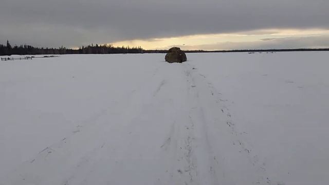 Снегоход Шихан