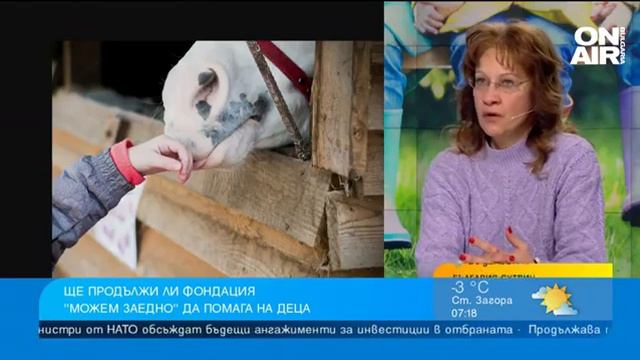 Конна база 