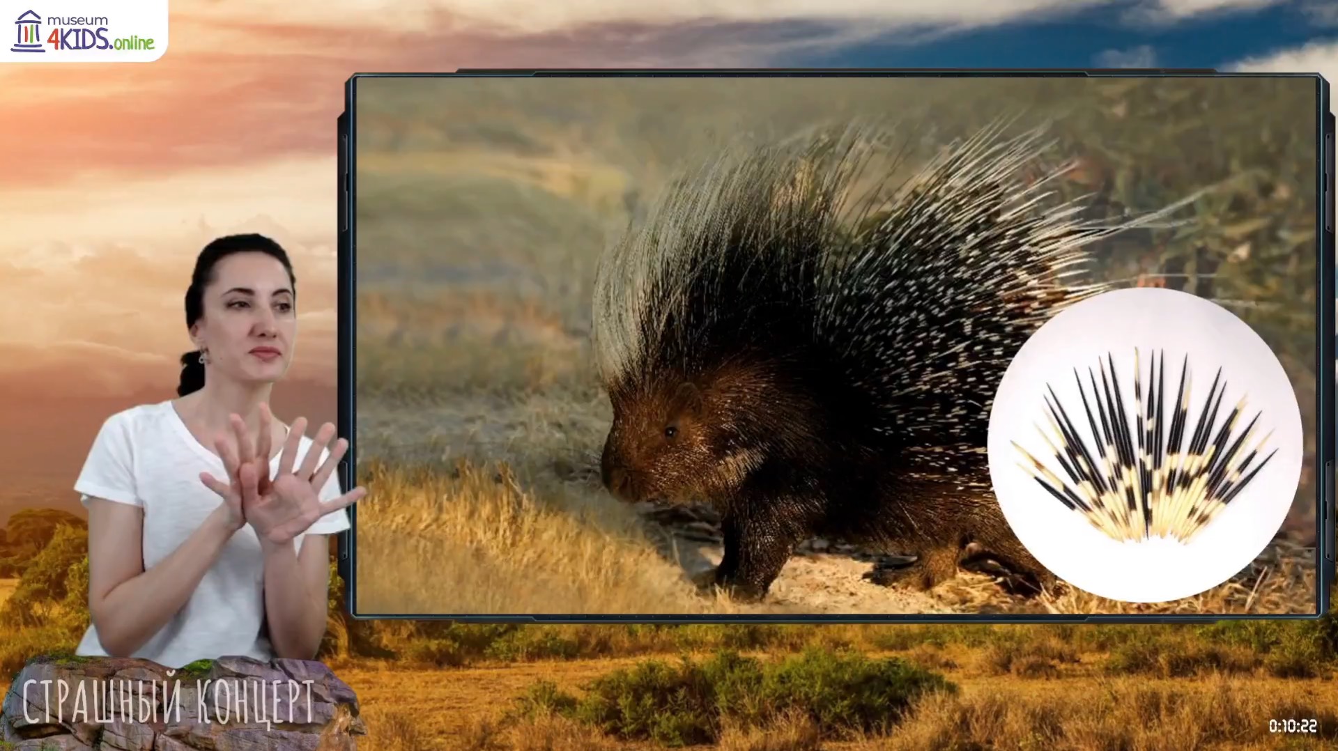 0cd139099779f354c85c704b1537a29a