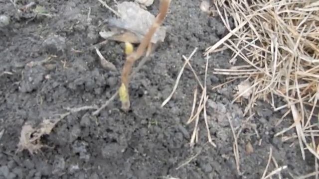 B4ba0537c017279c7e926efd1fb00690