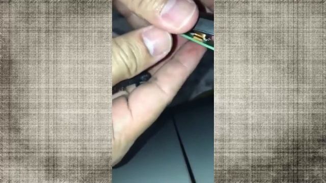 JavaScript для всех