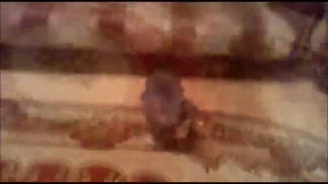 E7e1531f4d0c165c2b34a0bb7ba52551