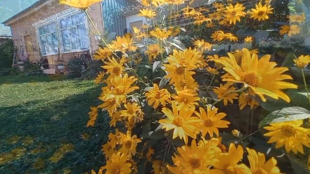 Агроусадьба экскурсионного типа 