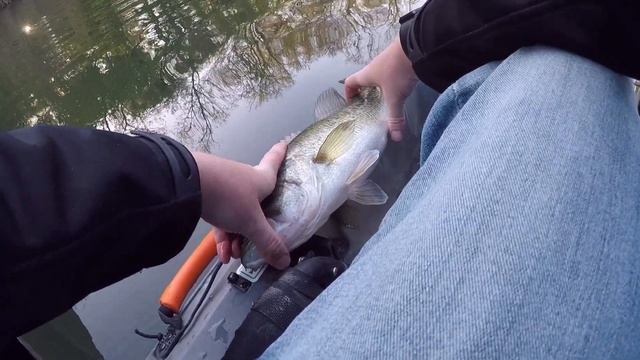 Big Bass On The Kayak - Kayak Bass Fishing