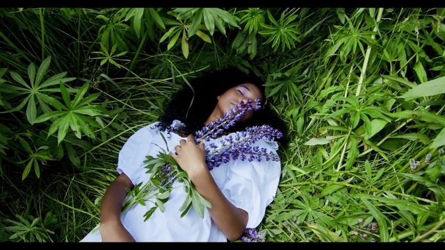 Жизнь под откос.