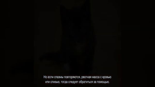 Мастерство и Личное Искусство