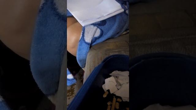 Мы купили средство чтобы кошка не пачкала где ненадо пачкала в туалете
