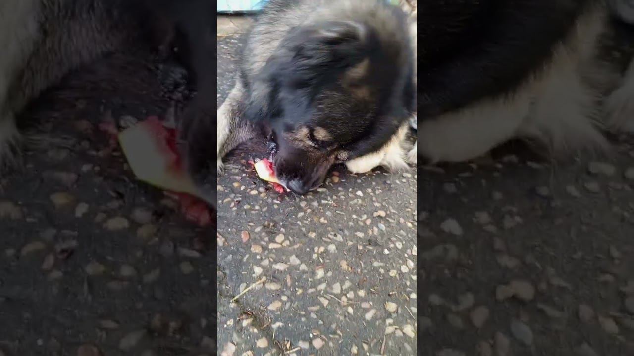 Какова вкуснота!