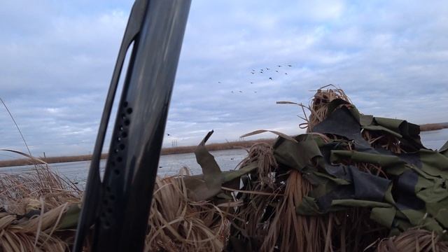 красивые кадры подборка 2019.mp4