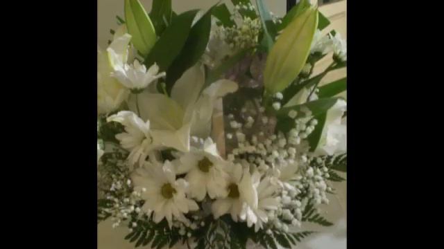 Beautiful Flowering Plant And Flowers Arrangement Lily Roses Daisy   #Subscribe PLS