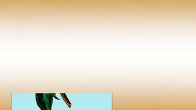 Знакомство с побегом.AVI