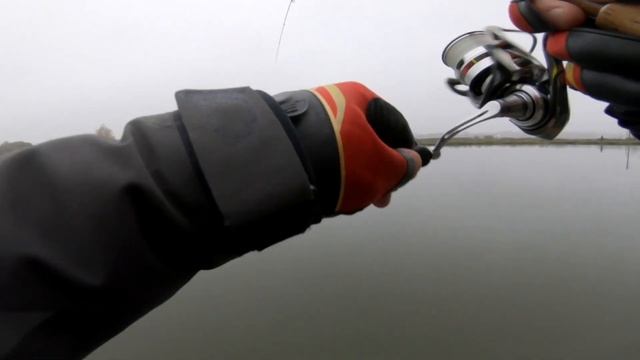 246ca921ec46655f850b4ea18dd943c1