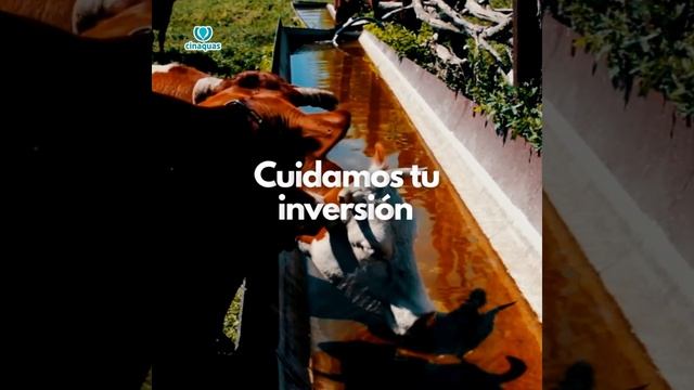 Bombas De Agua Solares Para Ganaderia