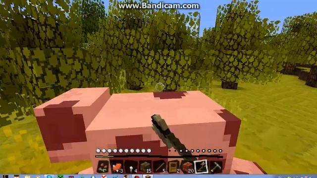 Выживание MineCraft    L   на версии 1.8.1 №1