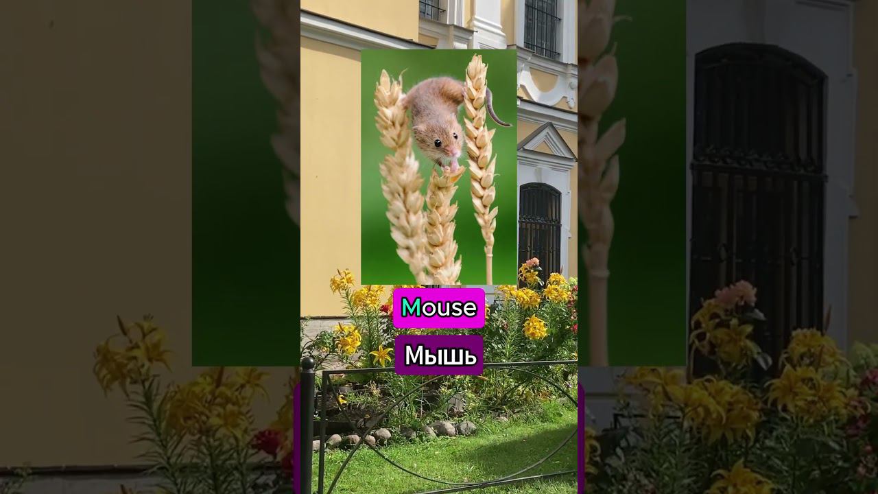 2cdfb5064340681fe82ad7365462b1d2