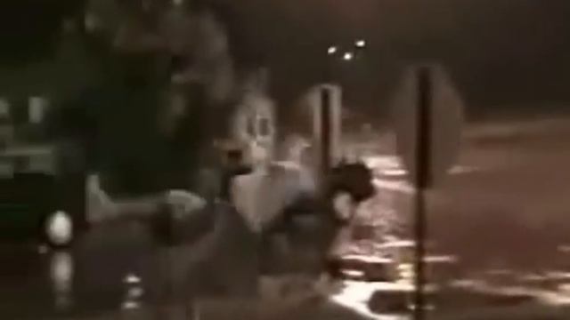 Making My Way Downtown (Fail Recorder Cover)